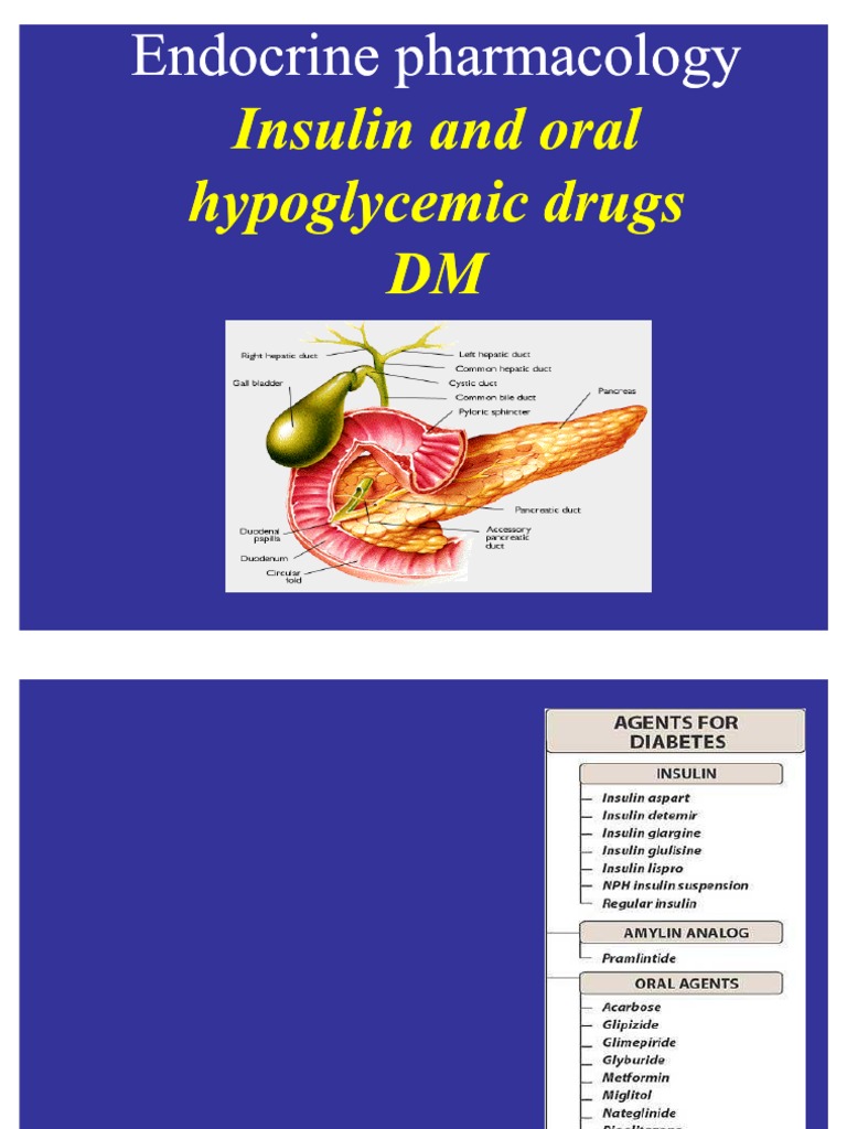 Pharmacology of Endocrine System-InSULINE | PDF