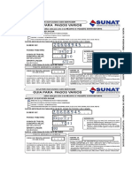 Guia para Pagos Varios