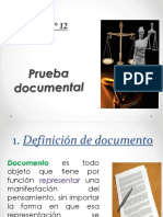 Tema 12. La Prueba Documental