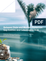 Between State and Market: Protection Gap Entities and Catastrophic Risk