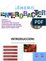 Enterobacter