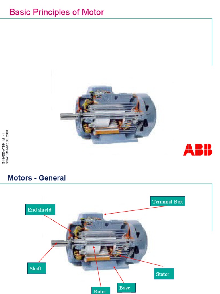 Basic Principles of Motor | PDF | Physics | Force