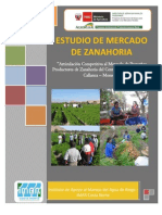 Estudio de Mercado de Zanahoria