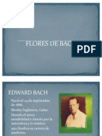 Flores de Bach