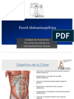 Paredes Abdominopélvicas UFT