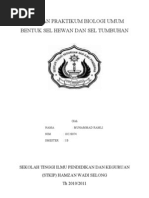 Download Laporan Praktikum Sel Hewan by MUHAMMAD RAMLI SN57467041 doc pdf