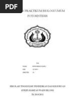 Download LAPORAN PRAKTIKUM FOTOSINTESIS by MUHAMMAD RAMLI SN57467083 doc pdf