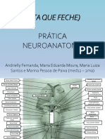 Prática Av1 (Neuro)