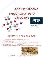 3 - Hidratos de Carbono