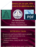 Hematoxylin Stain Its Importance in Histology