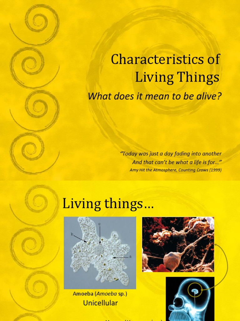 Characteristics of life pdf