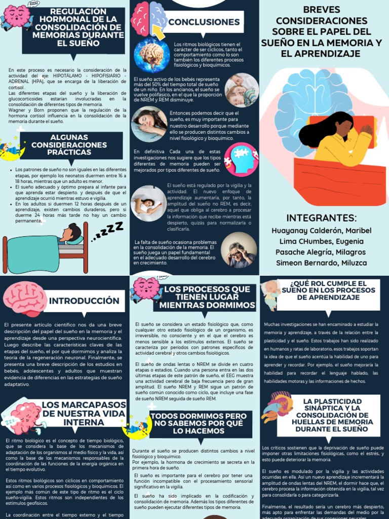 Sueño y su Impacto en Aprendizaje | PDF | Dormir | Aprendizaje