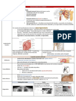 Traumatología 5