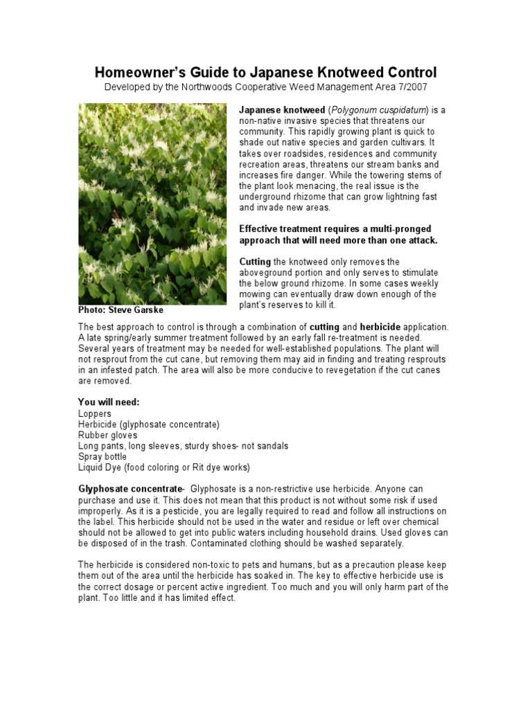 Homeowner's Guide To Japanese Knotweed Control: Developed by The ...