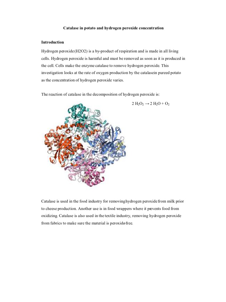 Catalase in Potato and Hydrogen Peroxide Concentration