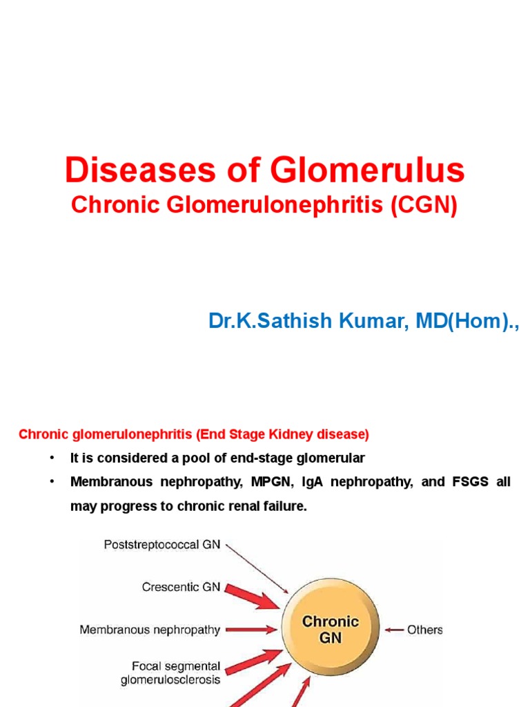 Chronic Glomerulonephritis | PDF | Kidney Disease | Urology