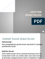 Anatomi Hematologi