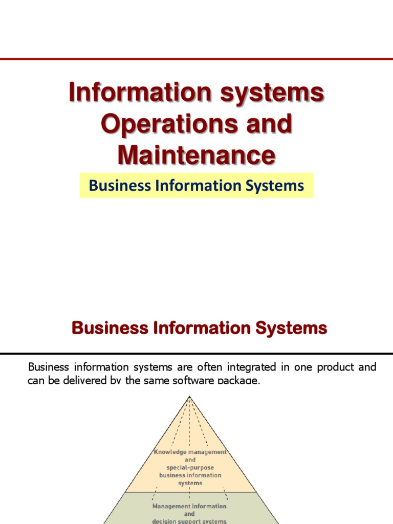 Overview of Business Information Systems | PDF | Enterprise Resource ...
