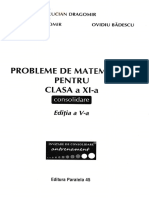 Probleme de Matematica - Clasa 11 - Consolidare - Lucian Dragomir