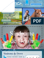 Seminario 2 - Síndrome de Down