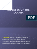 Deseases of The Larynx