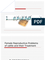 Female Reproductive Problems of Cattle