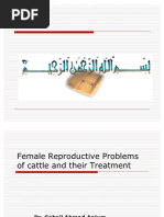Rumenotomy Techniques in Cattle | PDF | Peritoneum | Surgical Suture