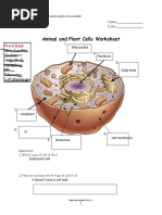 Jake Facciobene Cells Practice Worksheet 2 1 PDF