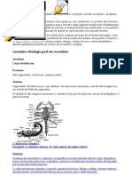 parasito classe aracnídea