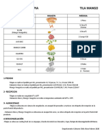 Fichas Tecnicas Mango Tila 17 Feb 2020