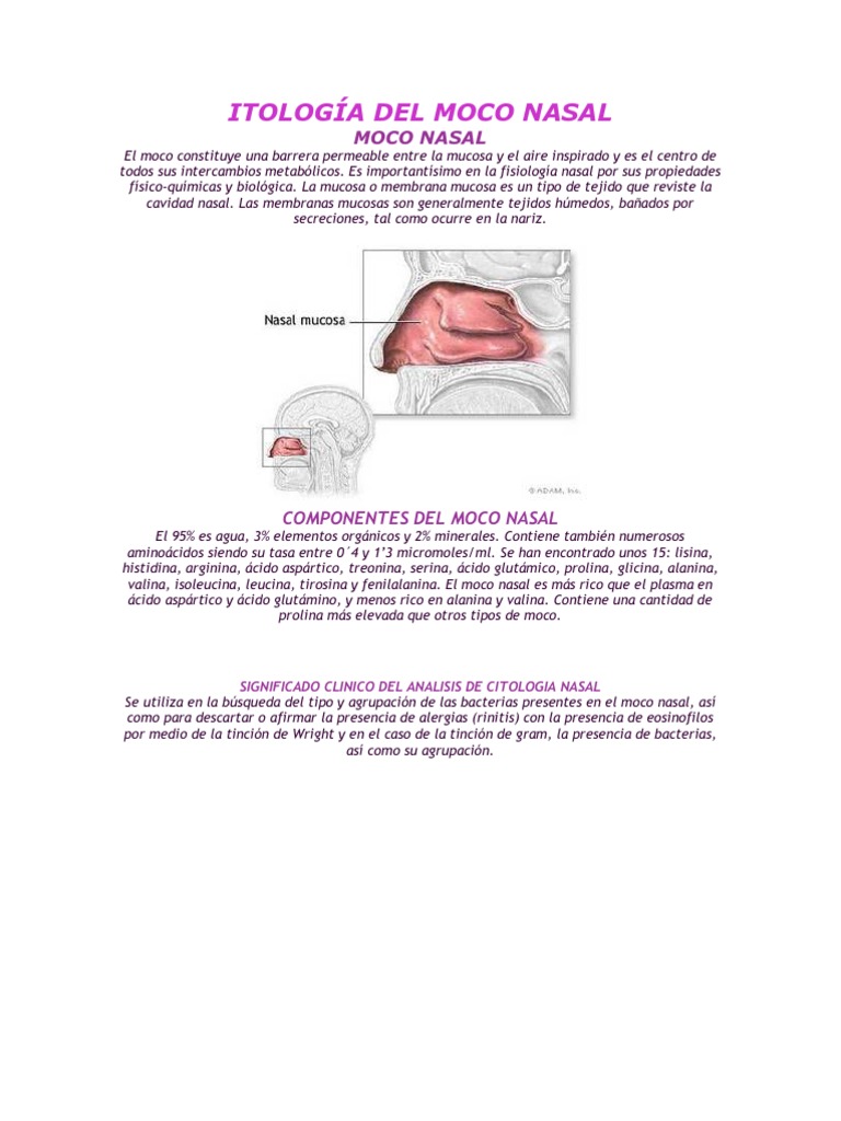 ITOLOGÍA DEL MOCO NASAL