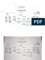 Organizador gráfico