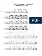 Levadas Basicas para o Sertanejo