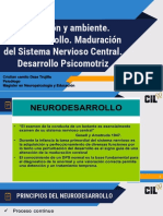 CLASES MODULO I Interacción y Ambiente. Neurodesarrollo. Maduración Del Sistema Nervioso Central. Desarrollo Psicomotriz