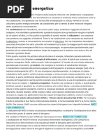Metabolismo energetico
