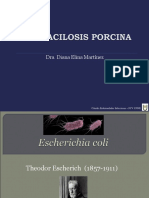 5.2 Colibacilosis