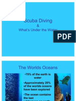 Explore the Oceans Through Scuba Diving