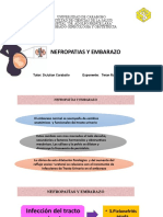 Nefropatías y Embarazo 1