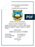 INFORME DE PRACTICAS MODULO III EMERSON