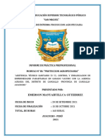 Informe de Practicas Modulo Iii Emerson