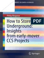 How To Store CO2 Underground Insights From Early-Mover CCS Projects