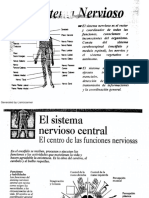 Seguridad-Doc2-Semestral