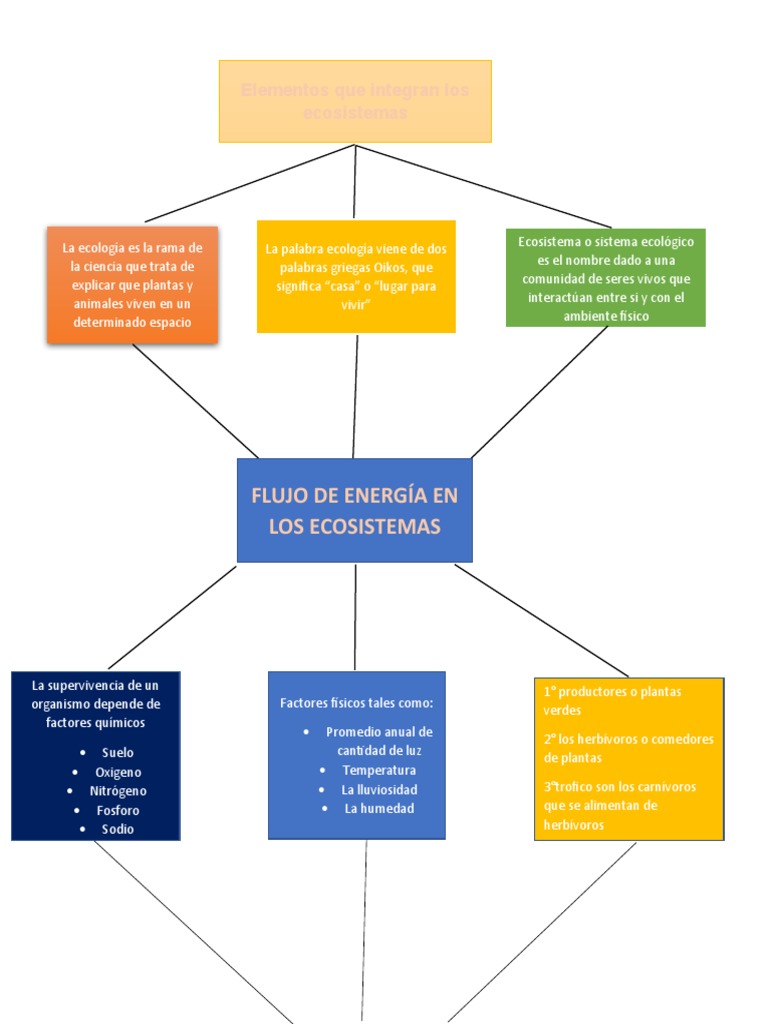 Mapa Conceptual de Ecosistemas | PDF | Ecosistema | Desierto