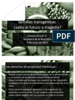 Semillas Transgénicas ¿Salto Al Futuro o Tragedia? - Ximena Rincón