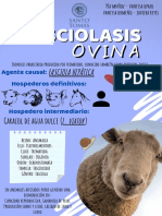 Fasciolasis Ovina