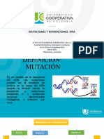 Mutaciones y Reparación Del Dna