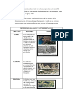 Etapa 2 - Fotointerpretación y Mapificación