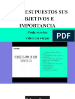 Los Presupuestos Sus Objetivos e Importancia