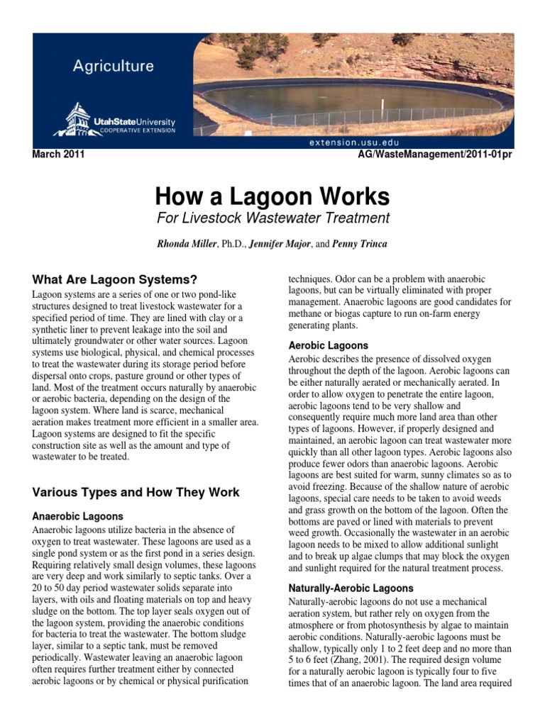 How A Lagoon Works 2011 PDF Sewage Treatment Anaerobic Digestion