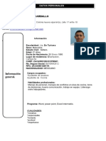 CV Sander de La Fuente Ramirez